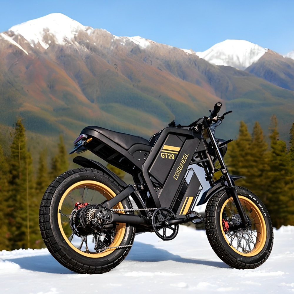 Coswheel Electric bike for Adu - Motorcycle Gear Online recensione e prezzo